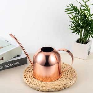IMEEA Indoor Watering Can for House Plants 33oz-1L Stainless Steel Watering Can with Long Spout (Rose Gold) - 5