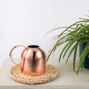 IMEEA Indoor Watering Can for House Plants 33oz-1L Stainless Steel Watering Can with Long Spout (Rose Gold) - 6
