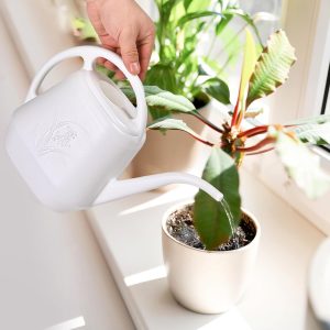 ZXJ Plant Watering Can - for Indoor and Outdoor Home Garden Plants - with Long Spout - White - 1-2 Gallon - 7