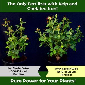 10-10-10 All Purpose Plant Food - Liquid Fertilizer with Seaweed Kelp & Iron - Indoor & Outdoor Plant Food, Vegetables, Flowers, Lawn & Garden 1x8oz - 3