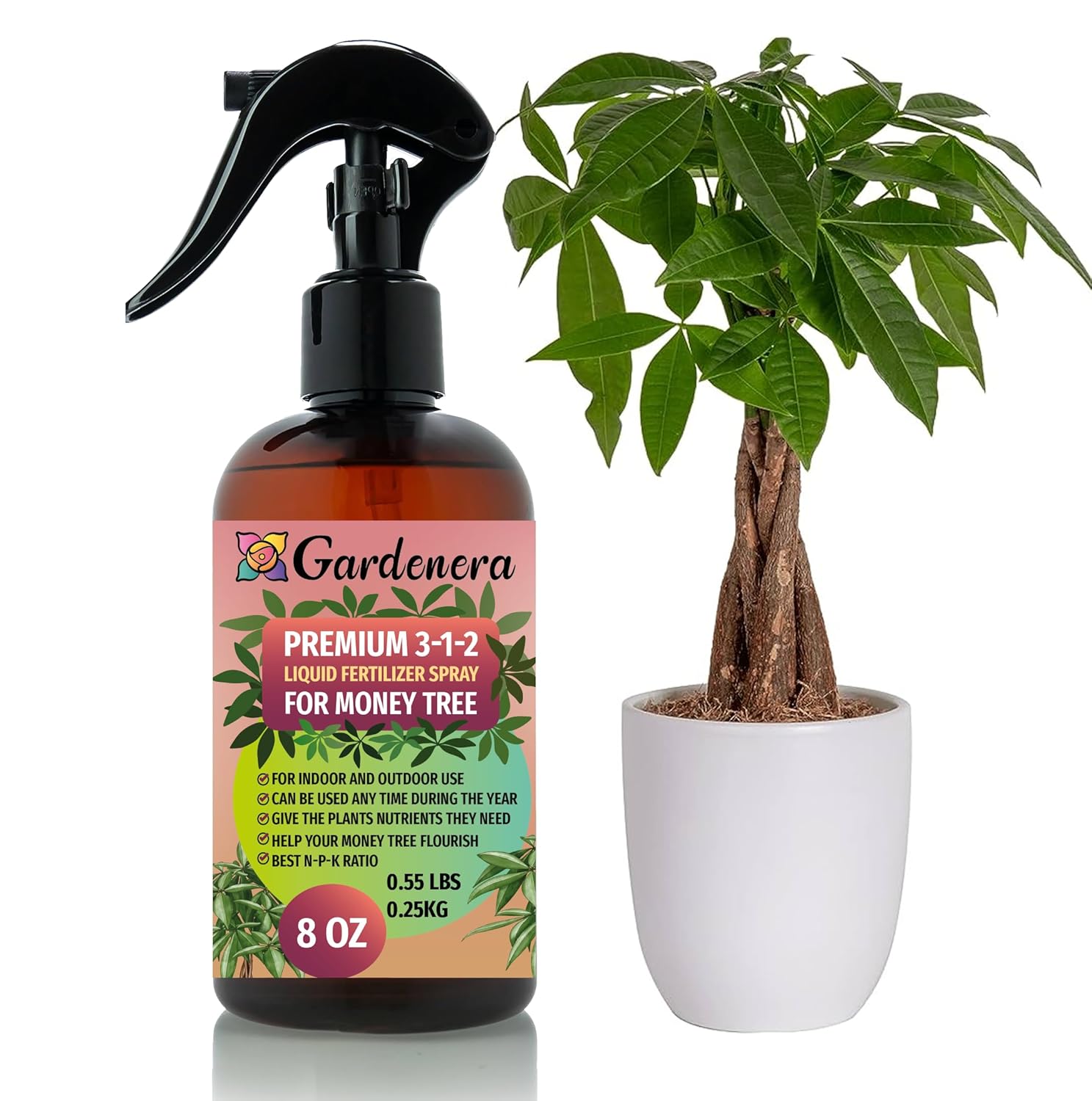 Gardenera Professional Money Tree Spray Fertilizer Mist for Home Gardening - 3-1-2 Gentle Blend Mist for Healthy Leaves & Growth - Essential Nutrients for Money Tree - 8oz - 1
