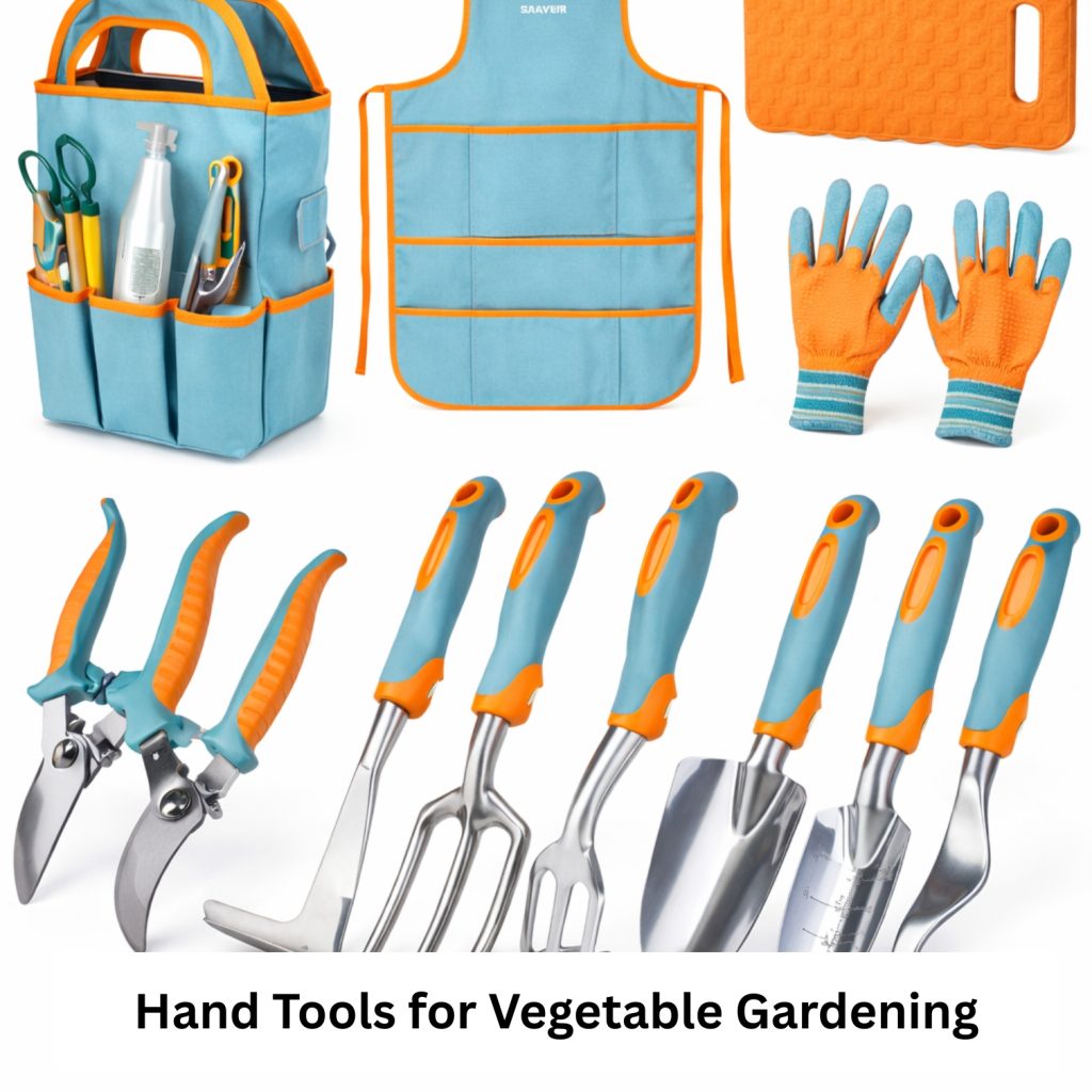 Hand Tools for Vegetable Gardening