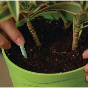 Miracle-Gro Indoor Plant Food Spikes, Includes 48 Spikes - Continuous Feeding for all Flowering and Foliage Houseplants - NPK 6-12-6 - 2