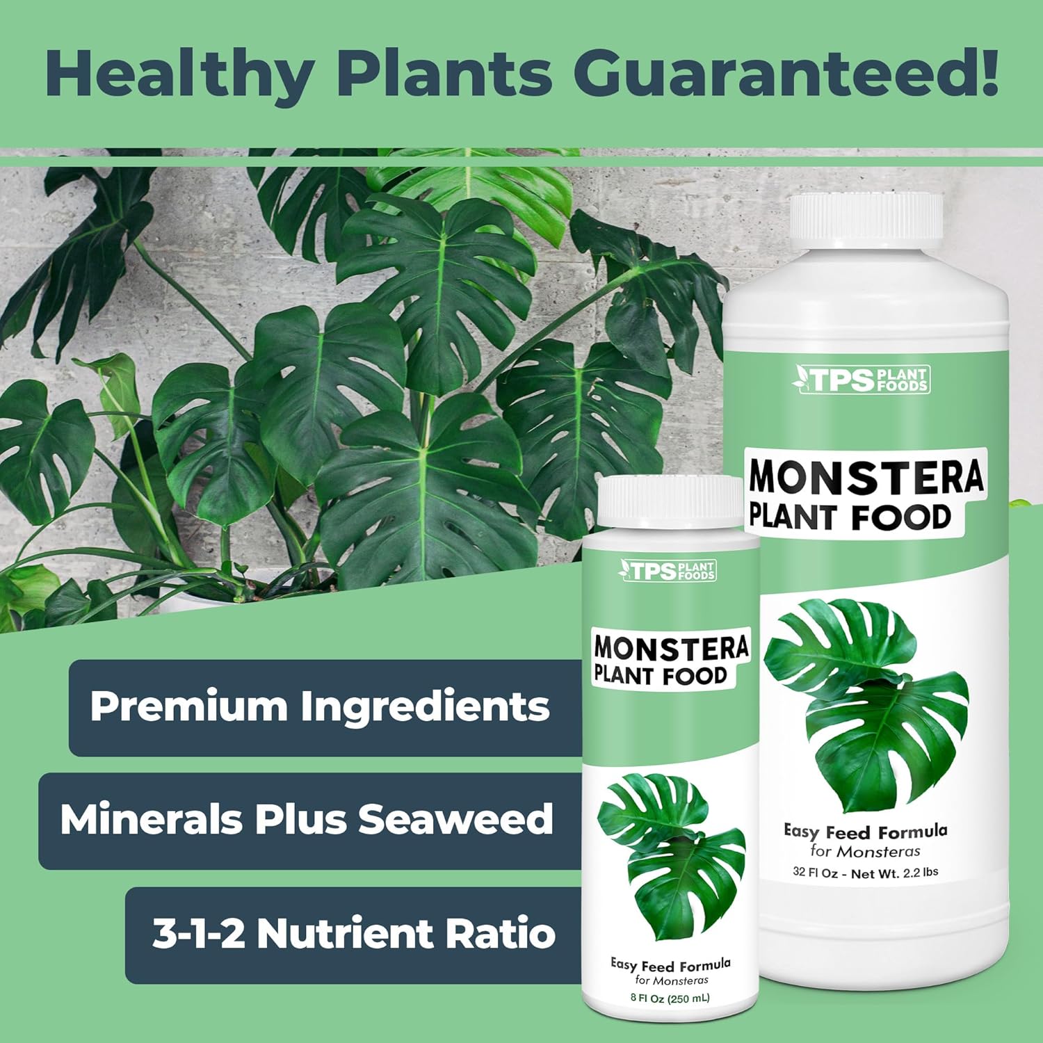Monstera Plant Food for Monsteras and Philodendrons, Tropical Houseplant Liquid Fertilizer 8 oz (250mL) - 2