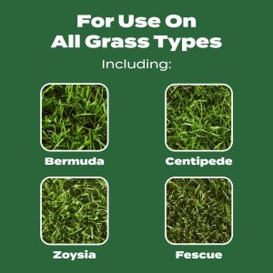 Scotts Turf Builder Lawn Food - Fertilizer for All Grass Types, 5,000 sq. ft., 12.5 lbs. - 6