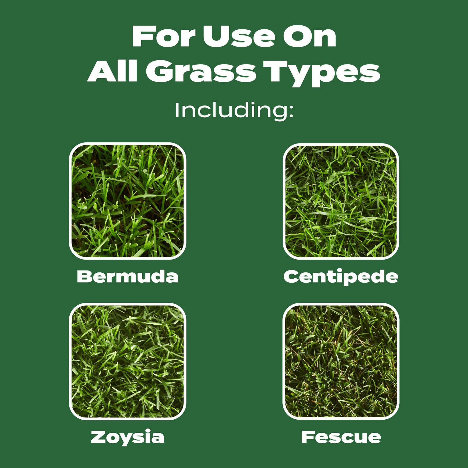 Scotts Turf Builder Lawn Food - Fertilizer for All Grass Types, 5,000 sq. ft., 12.5 lbs. - 6