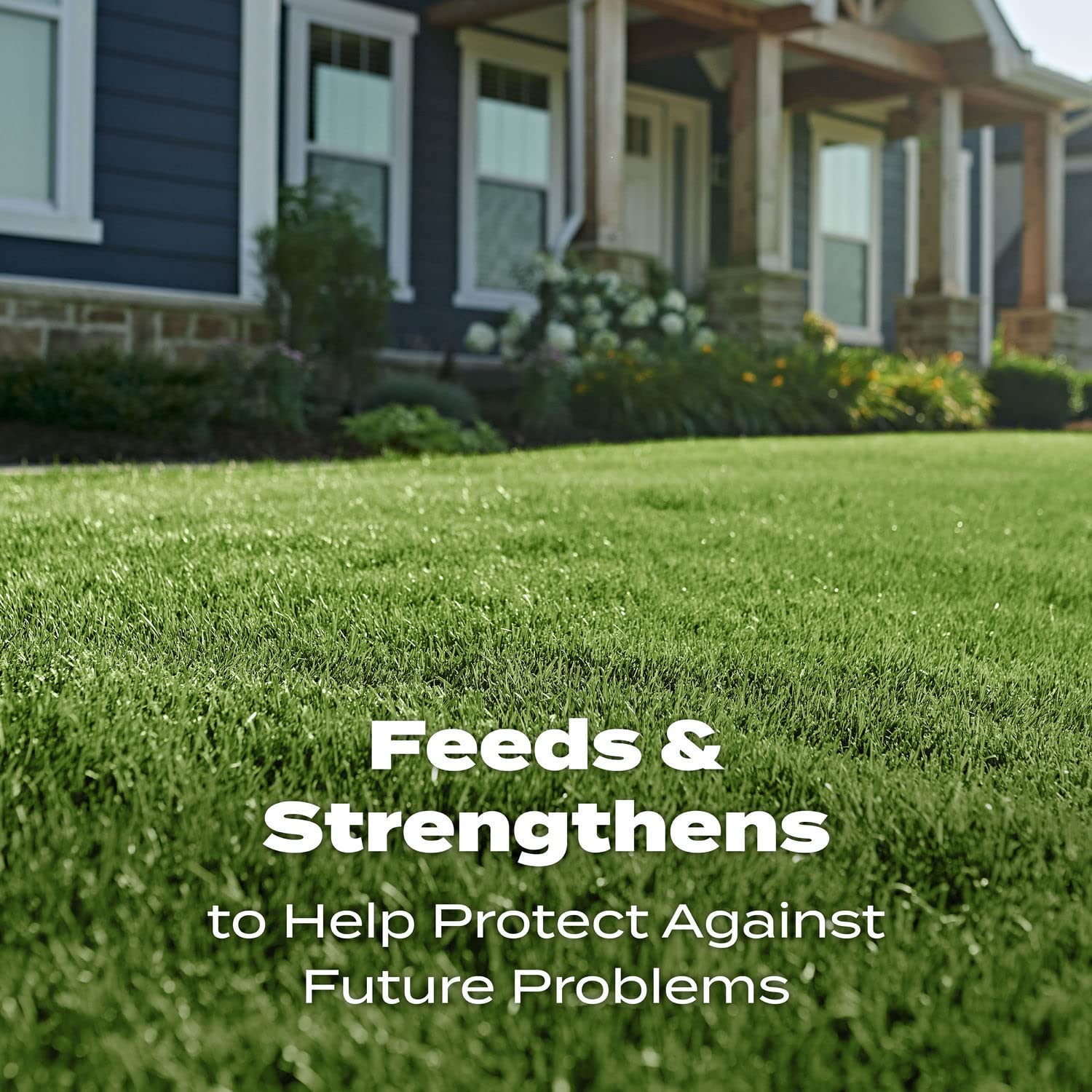 Scotts Turf Builder Lawn Food - Fertilizer for All Grass Types, 5,000 sq. ft., 12.5 lbs. - 8