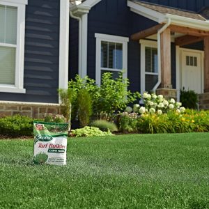 Scotts Turf Builder Lawn Food - Fertilizer for All Grass Types, 5,000 sq. ft., 12.5 lbs. - 9