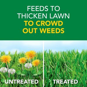 Scotts Turf Builder Weed and Feed3 - Weed Killer Plus Lawn Fertilizer, Controls Dandelion and Clover, Grass Fertilizer For Up To 5,000 sq. ft., 14.29 lbs. - 11