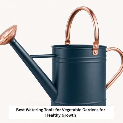 Best Watering Tools for Vegetable Gardens for Healthy Growth