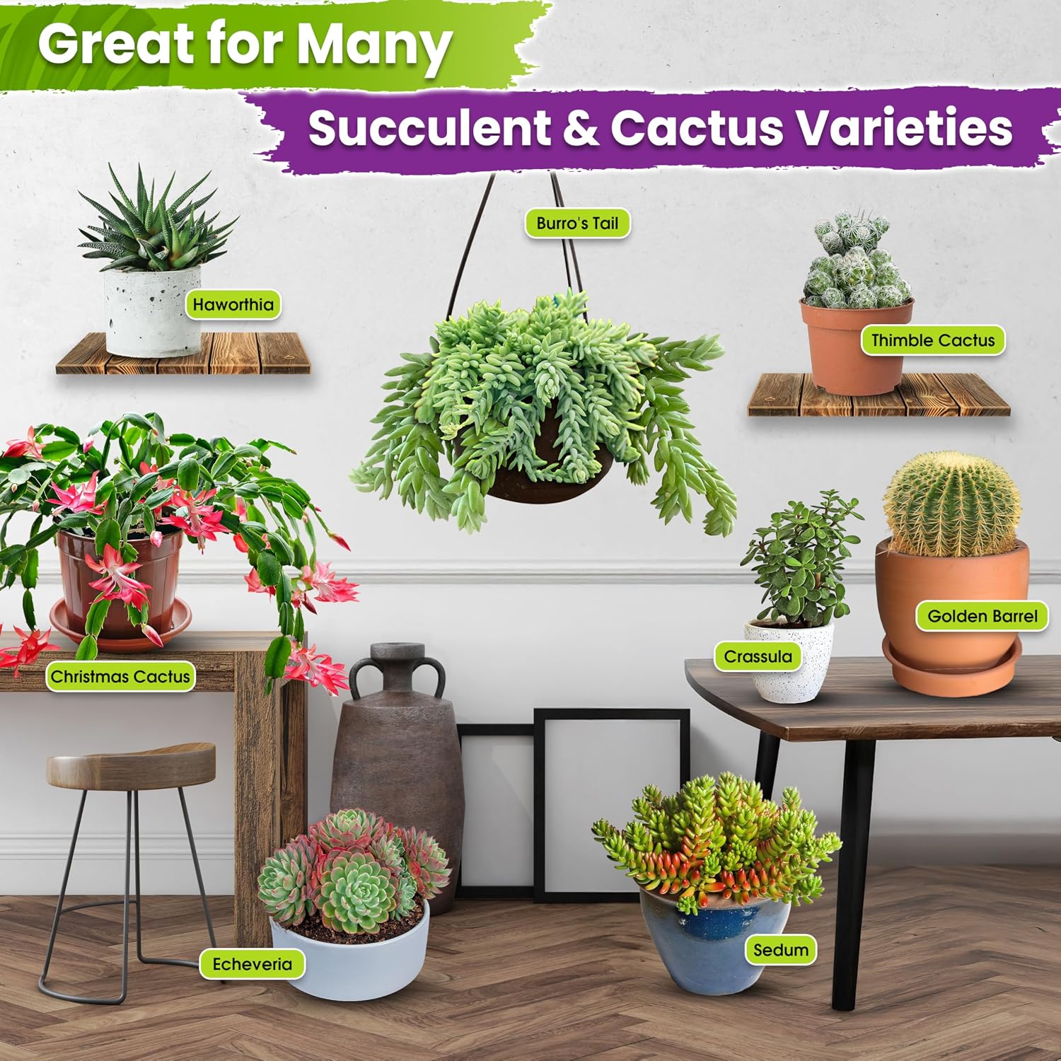7-in-1 Succulents & Cactus Soil Mix, Pre-Mixed & Ready to Use, 1 QT | Well-Draining Cactus Potting Soil for Succulents and Cacti, Indoor & Outdoor Use, Airflow, Balanced Moisture & Airy Texture - Image 2