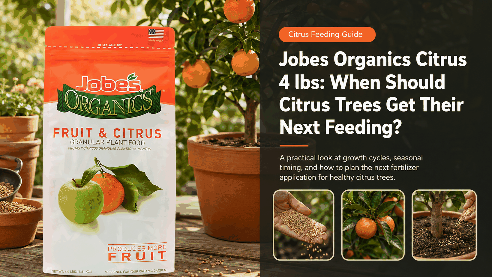 Jobes Organics Citrus 4 lbs shown for the gardening buying guide