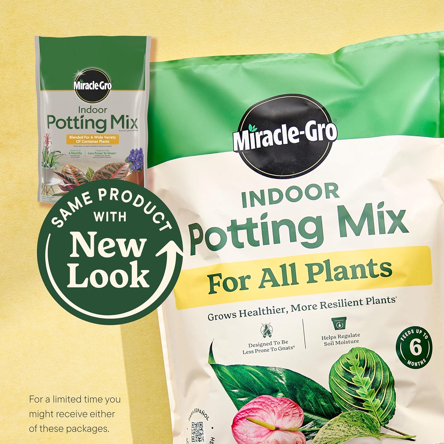 Miracle-Gro Indoor Potting Mix for All Plants, 6 qt., 2-Pack | Use with Houseplants and More, Feeds for up to 6 Months - Image 11