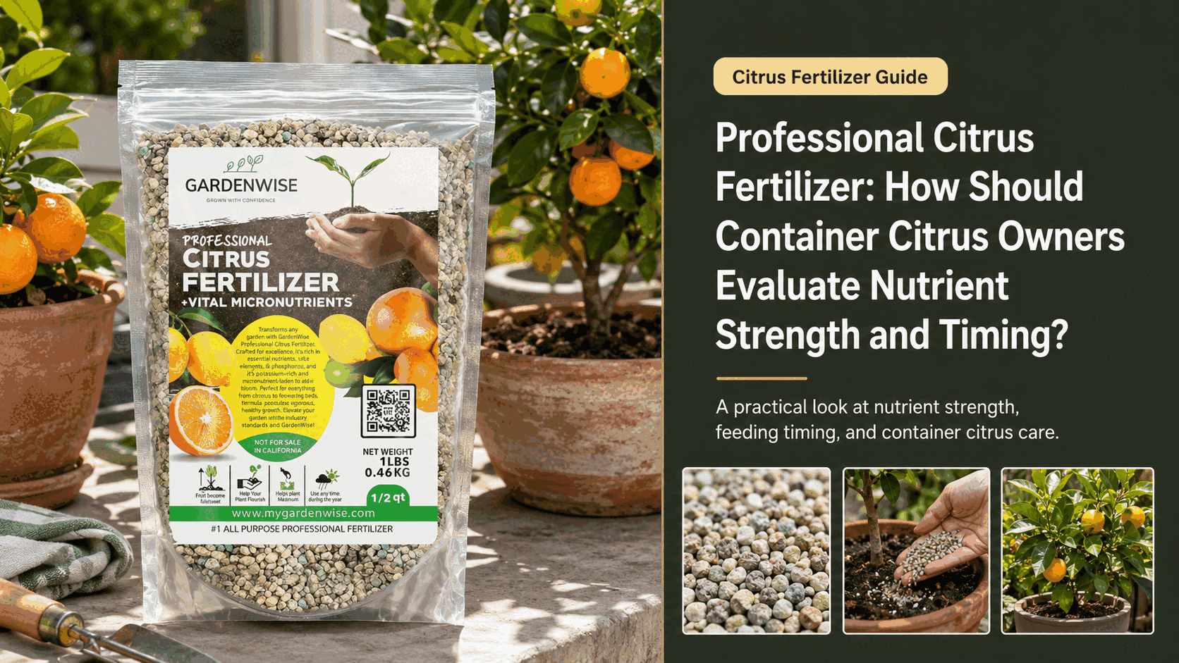 Professional Citrus Fertilizer shown for the gardening buying guide