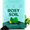 Rosy Soil Houseplant Potting Soil, Organic Indoor Potting Mix, 4 Quarts - Biochar and Worm Castings, For Monstera, Pothos, Tropical Indoor Plants, Peat Free - 1
