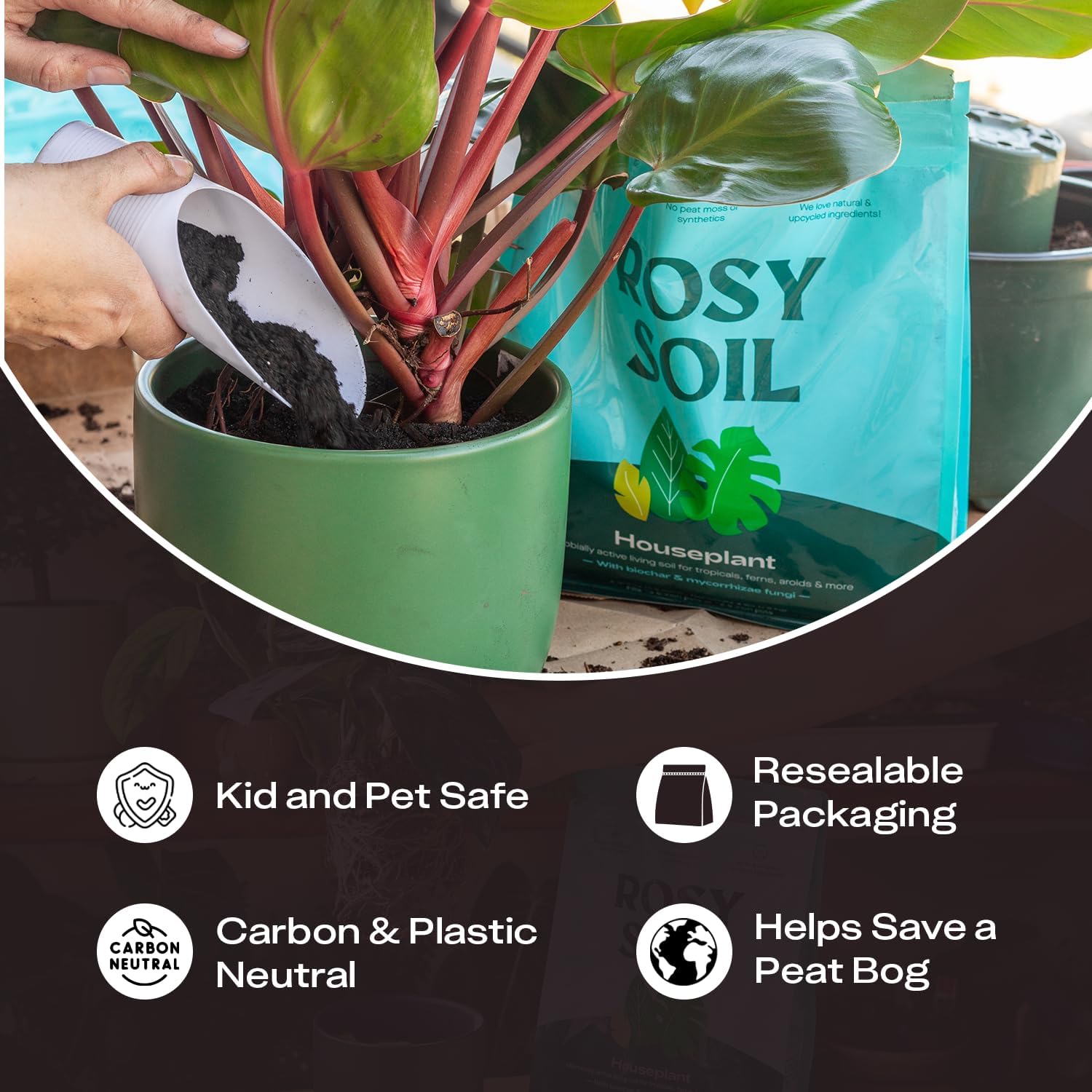 Rosy Soil Houseplant Potting Soil, Organic Indoor Potting Mix, 4 Quarts | Biochar and Worm Castings, For Monstera, Pothos, Tropical Indoor Plants, Peat Free - Image 3