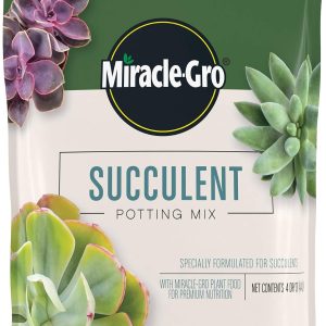 Miracle-Gro Succulent Potting Mix, 4 qt. - 1