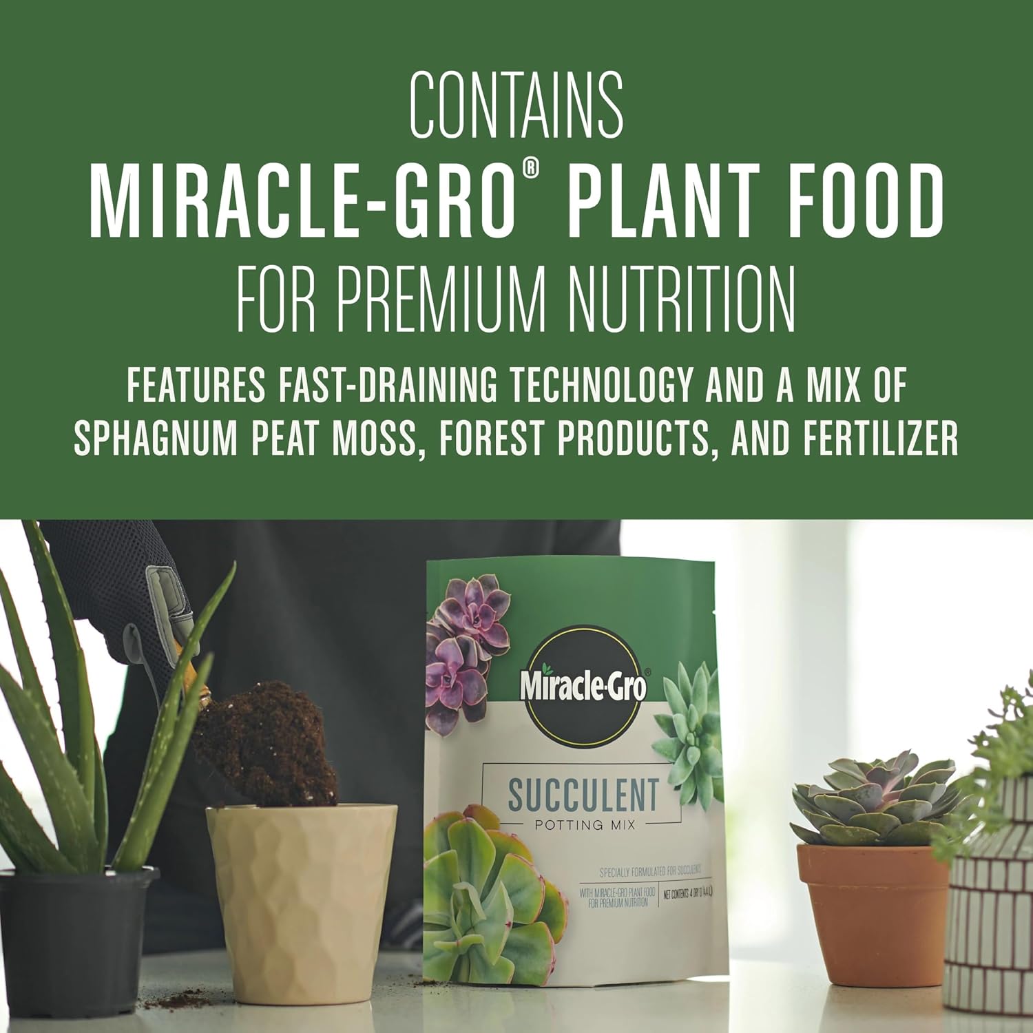 Miracle-Gro Succulent Potting Mix, 4 qt. - Image 6