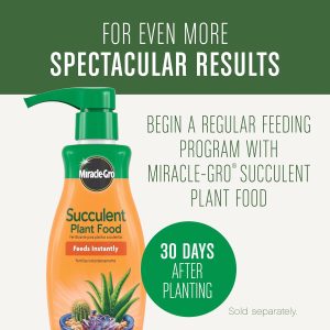 Alternative view of Miracle-Gro Succulent Potting Mix, 4 qt.