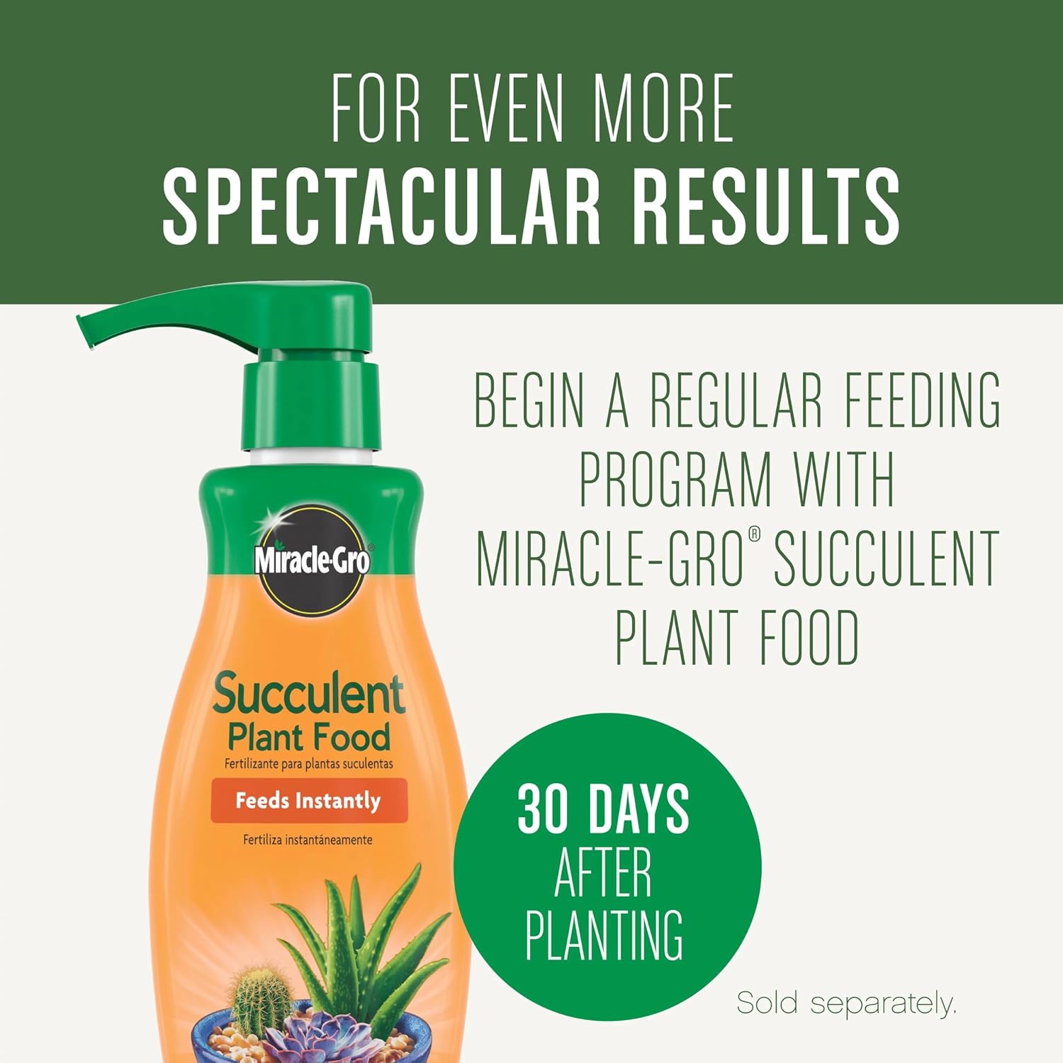 Miracle-Gro Succulent Potting Mix, 4 qt. - Image 2