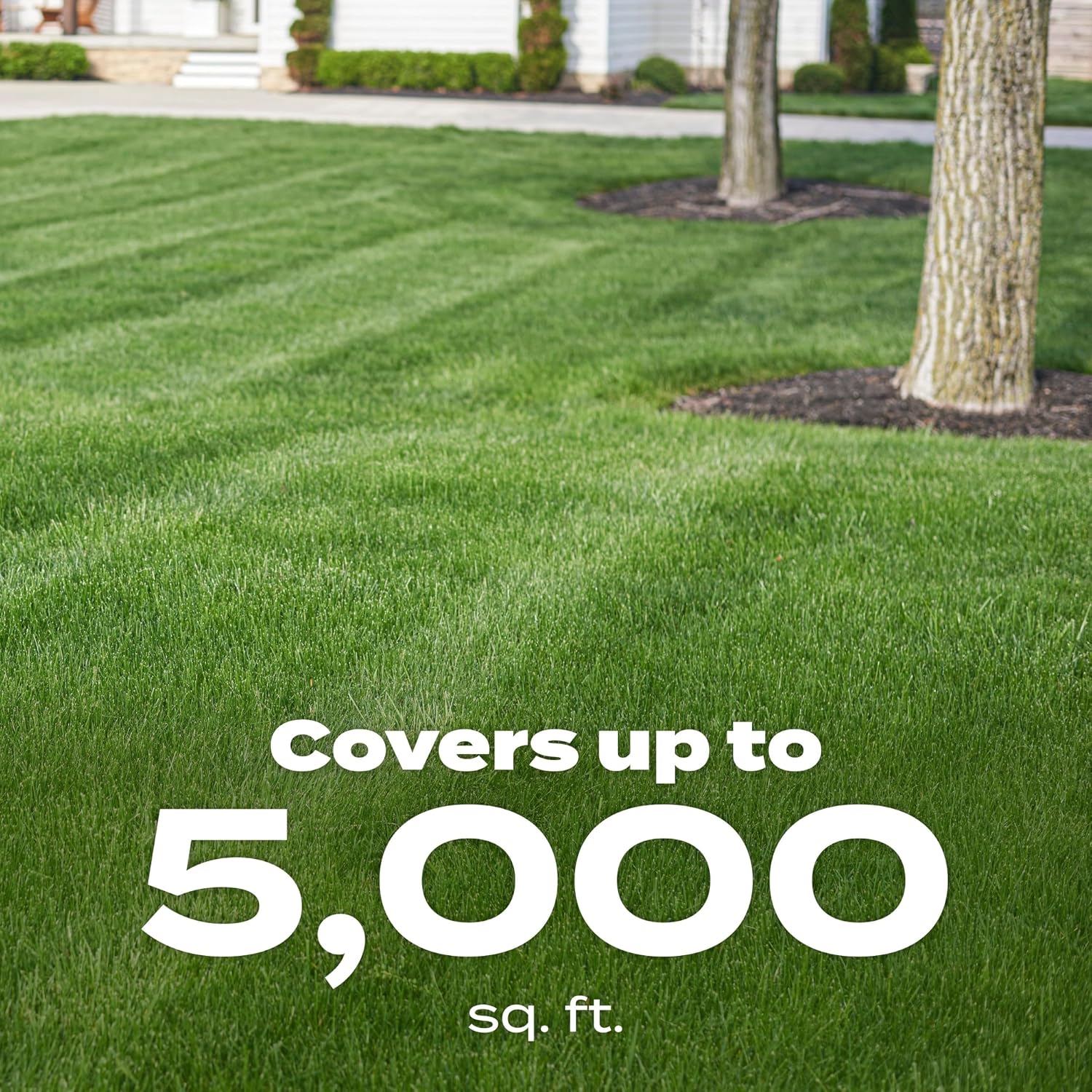 Scotts Green Max Lawn Food, 16.67 lbs. - Image 5