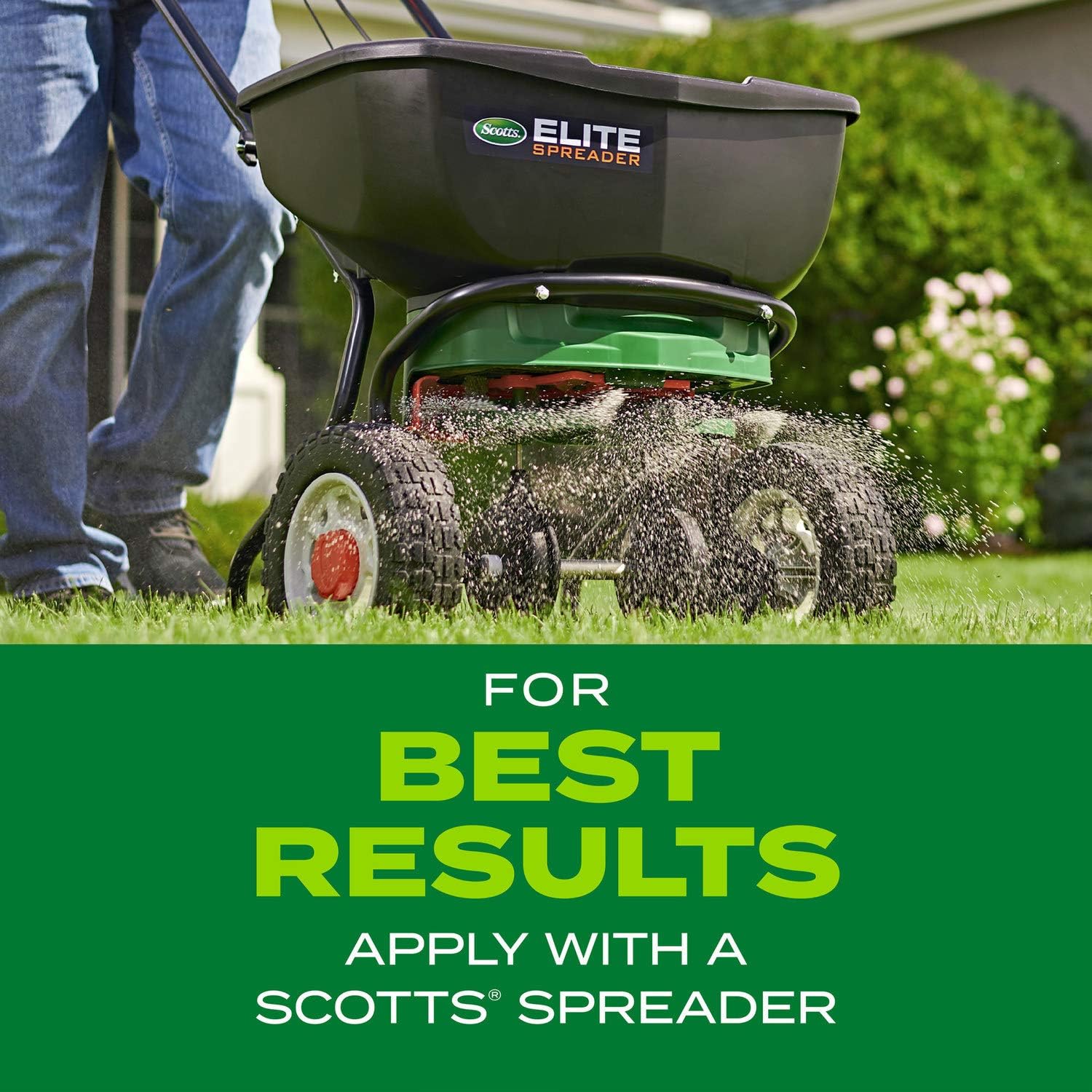 Scotts Turf Builder Rapid Grass Tall Fescue Mix, 5.6 lbs. - Image 5